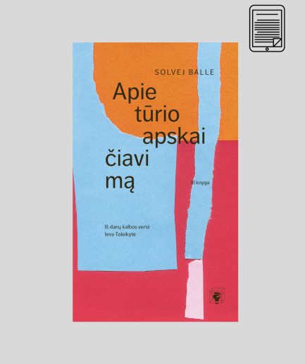 El. knyga – Solvej Balle „Apie tūrio apskaičiavimą“ III knyga